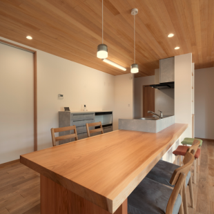木の断熱材の平屋